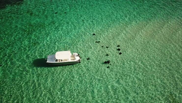 aerial picture of boat at stingray city surrounded by stingrays