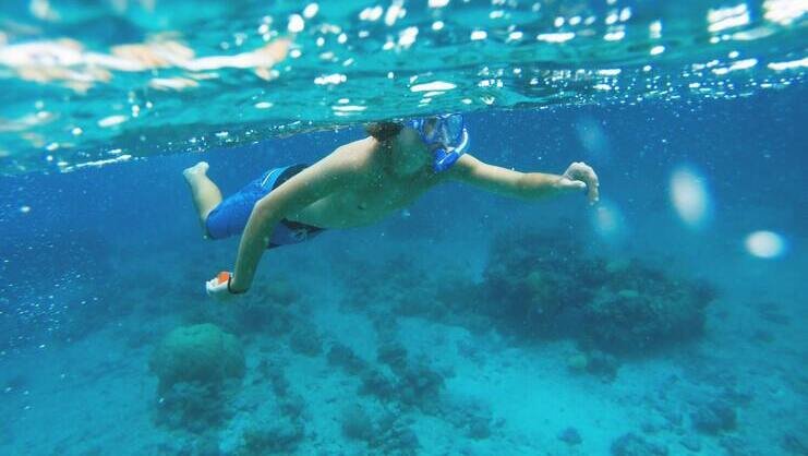 picture of person snorkeling