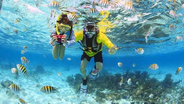 picture of two people snorkeling surrounded by fish