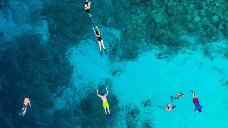 picture of people snorkeling