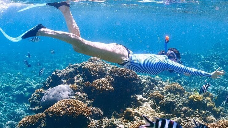 picture of person snorkeling