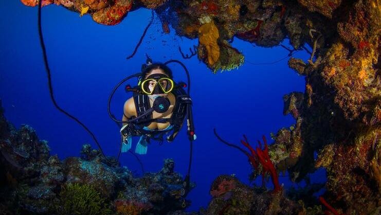 picture of diver next to orange coral