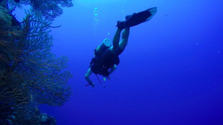 Picture of diver