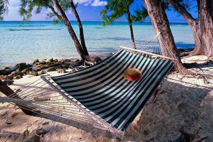 picture of a hammock between two trees on the beach with the sea in the background