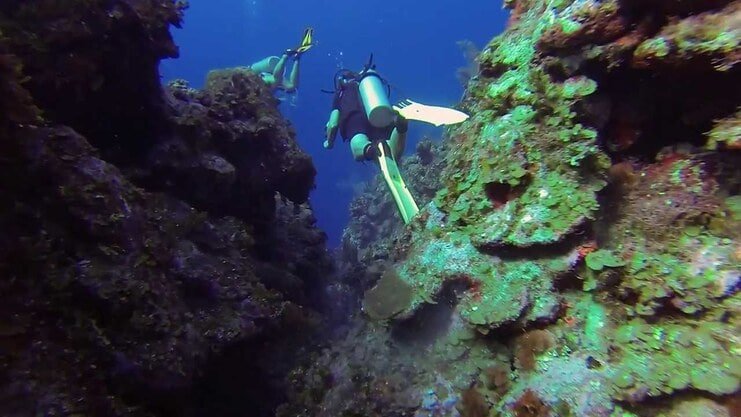 picture of person diving between two walls of coral