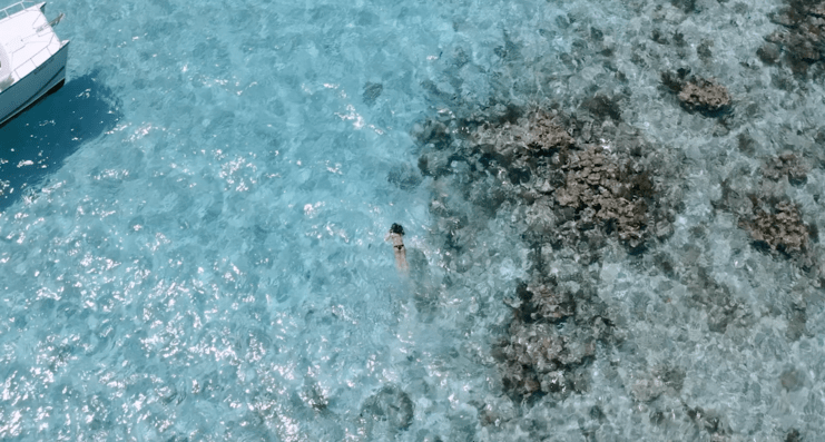 aerial picture of girl snorkeling at barrier reef